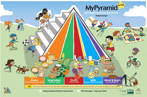 food pyramid 2011. The Pyramid hanging in today#39;s
